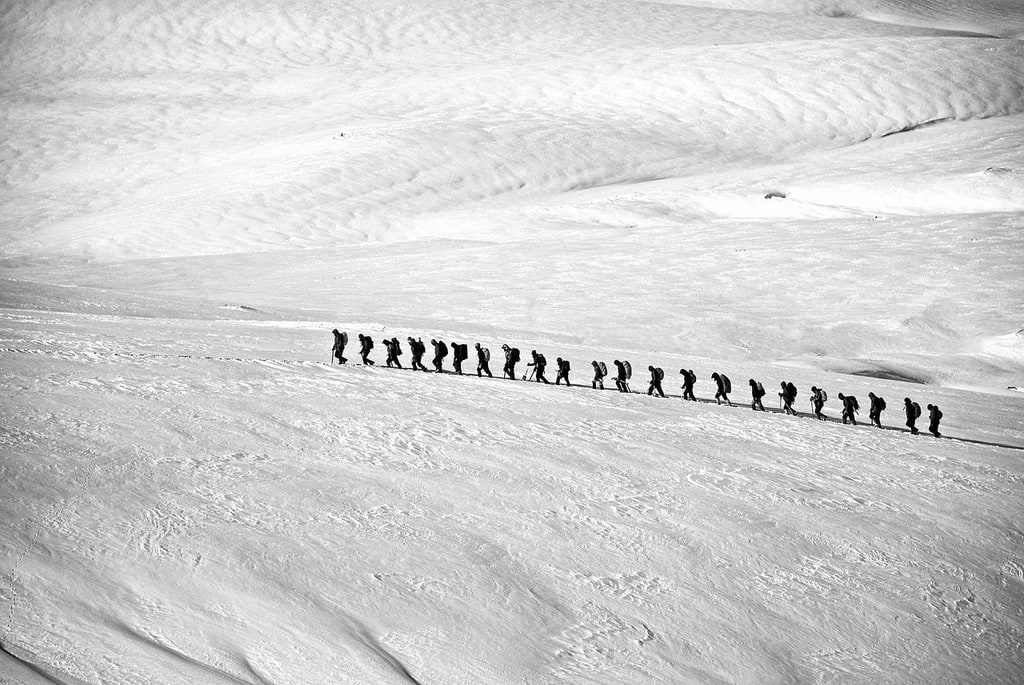 Natur erleben statt nur betrachten